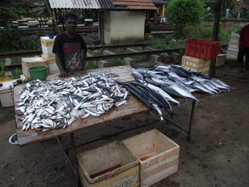 photo 1667328