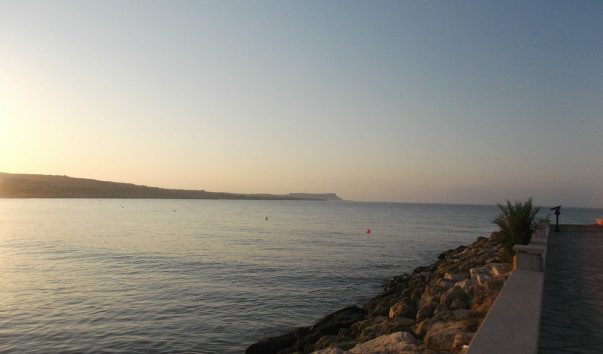 DSCF1713