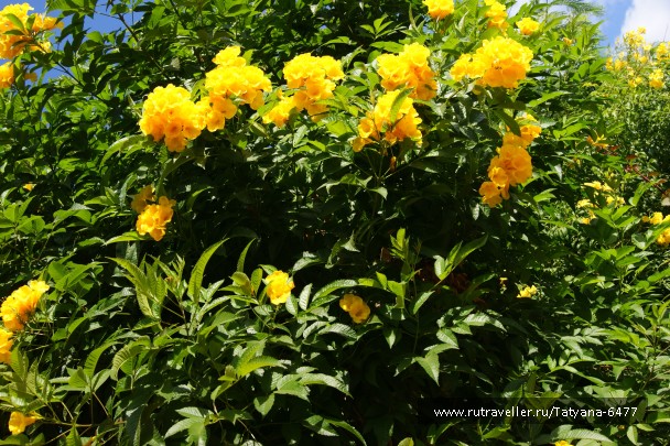 photo 965870