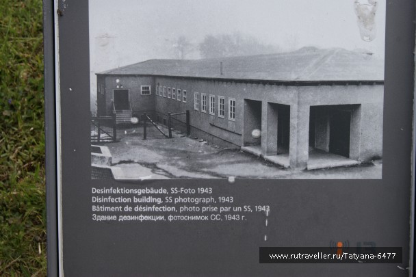photo 966273