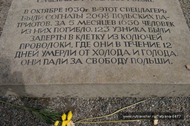 photo 966275