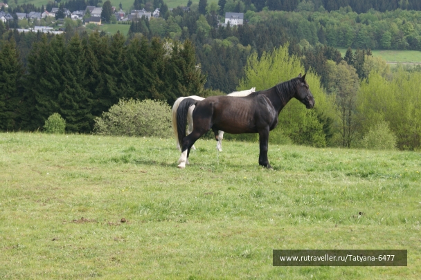 photo 966277