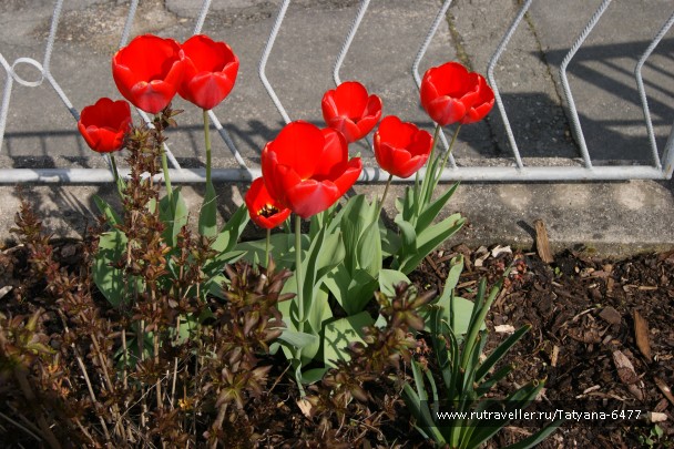 photo 966291