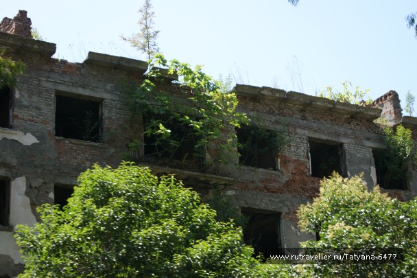 photo 967193