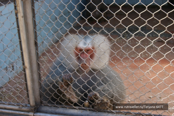 photo 979227