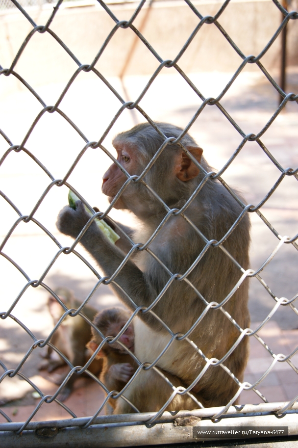 photo 979234