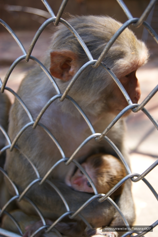 photo 979238