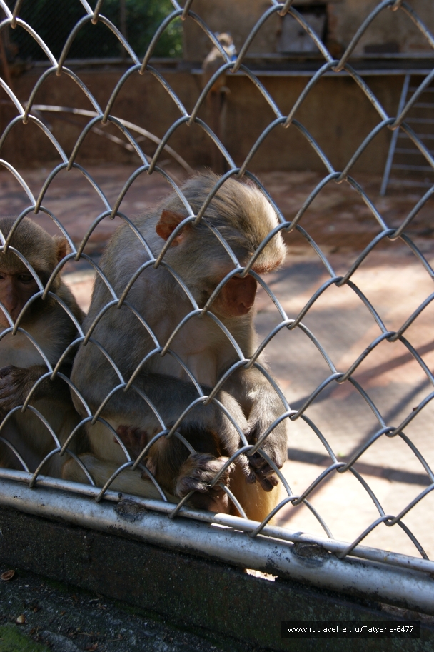 photo 979239