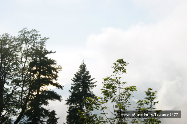 photo 986216
