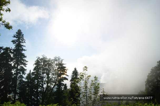 photo 986217