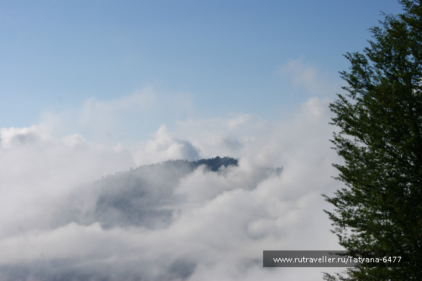 photo 986219
