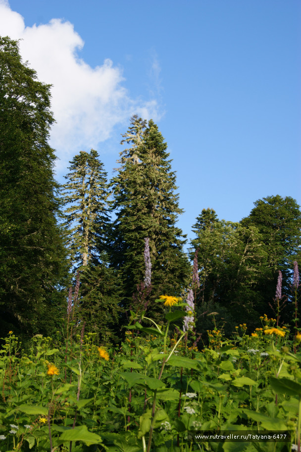 photo 986221