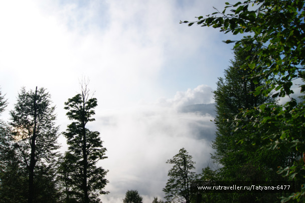 photo 986222