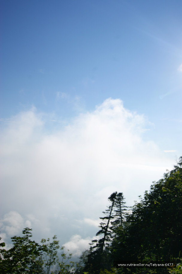 photo 986223