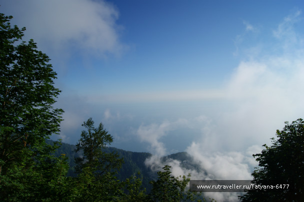photo 986224