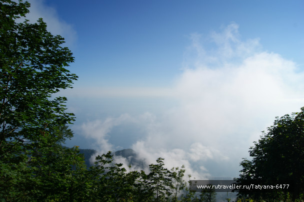 photo 986225