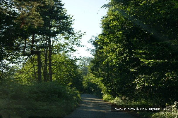 photo 986226