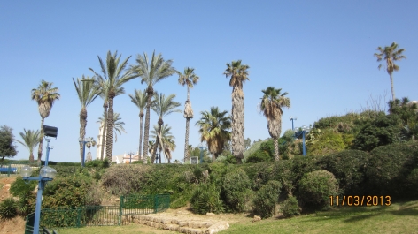 photo 455287
