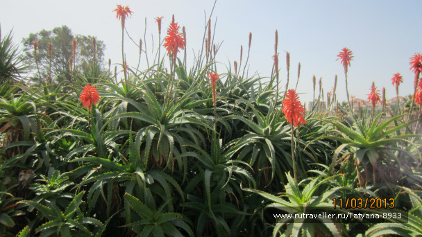 photo 455306