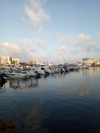 photo 1783572