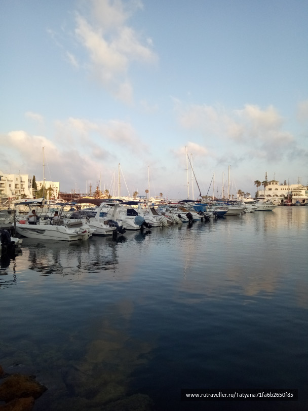 photo 1783572