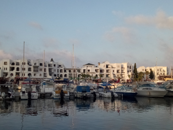 photo 1783574