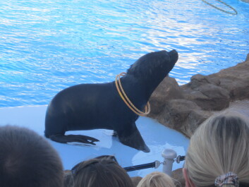 photo 586522