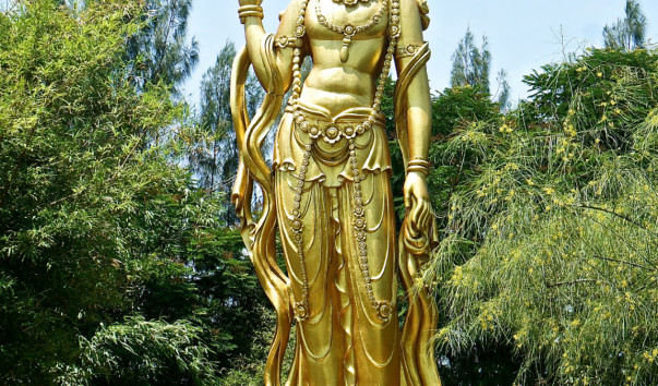 DSC07542