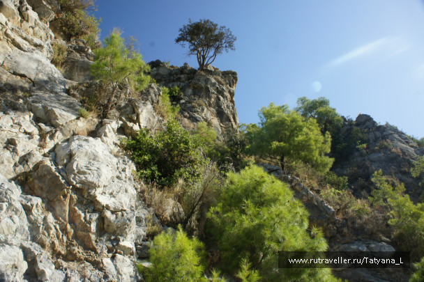 photo 159198