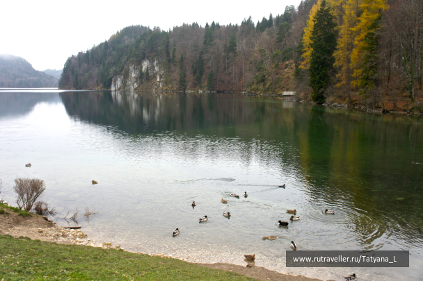 photo 674898