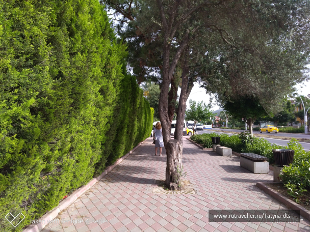 photo 1651976