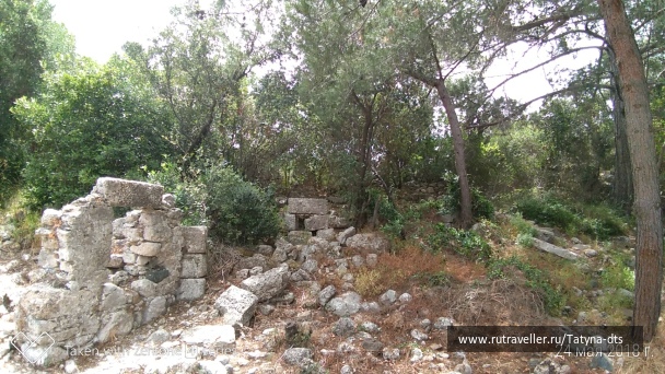 photo 1652021