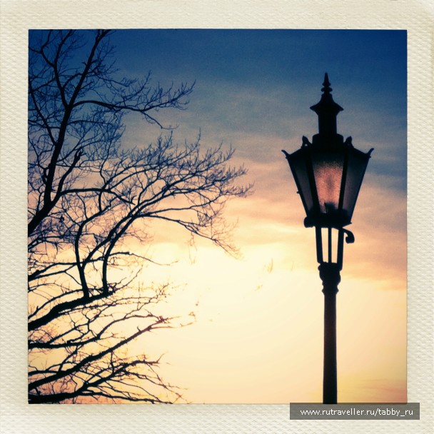 photo 735773