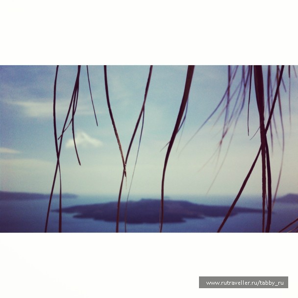photo 735731