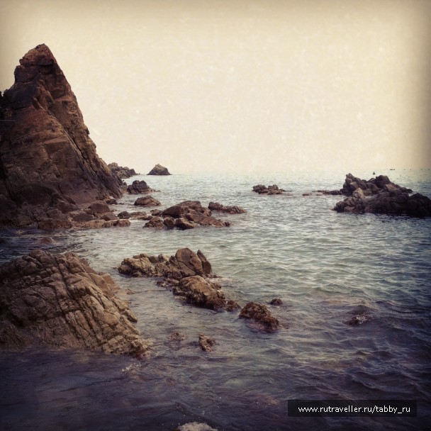 photo 429607