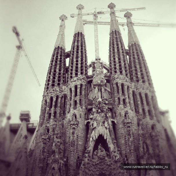 photo 429613