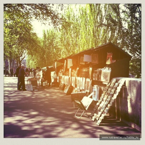 photo 384185