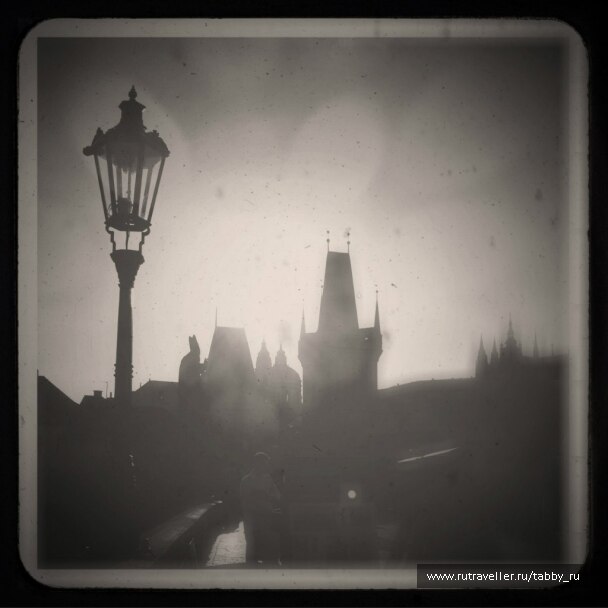 photo 384173