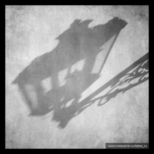 photo 384190