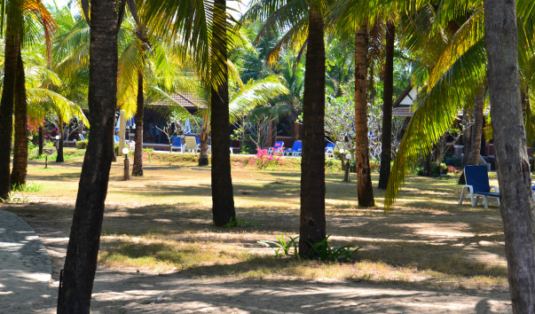 DSC_0060
