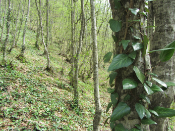 photo 240405