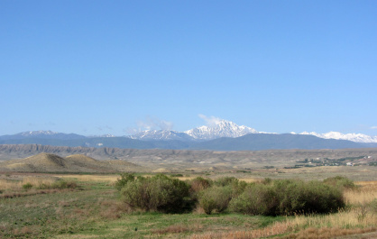 photo 244746
