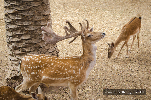 photo 1340068