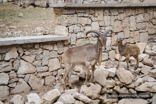photo 1340069