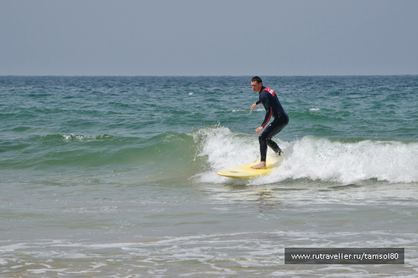 photo 1340104