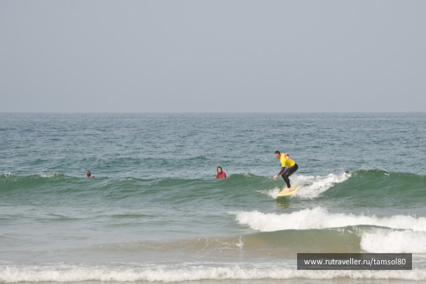photo 1340111