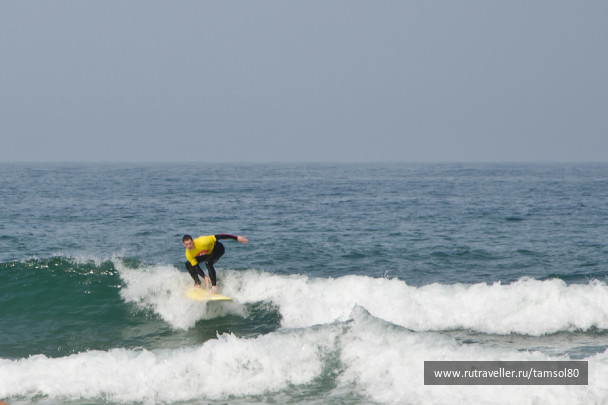 photo 1340112