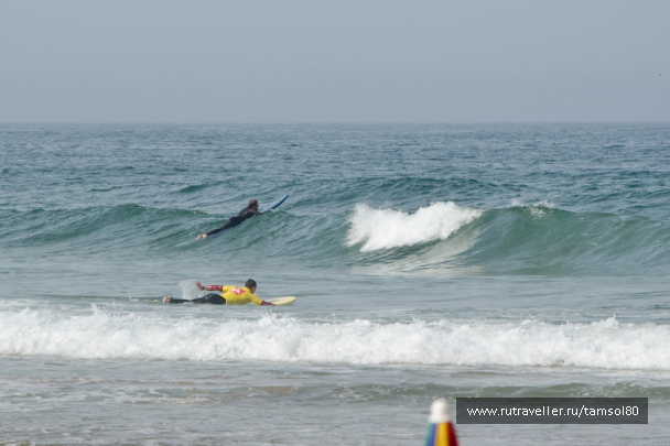 photo 1340115