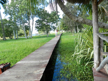 photo 622072
