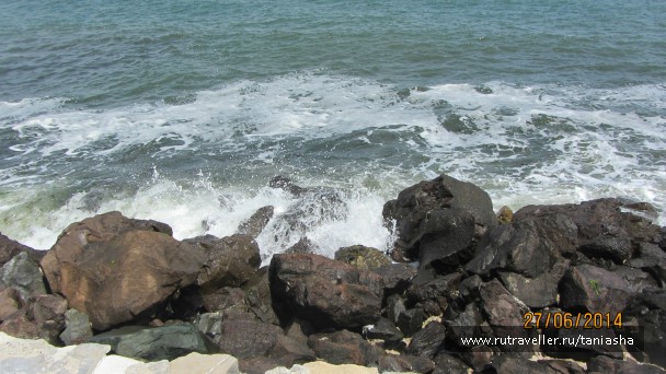 photo 794511